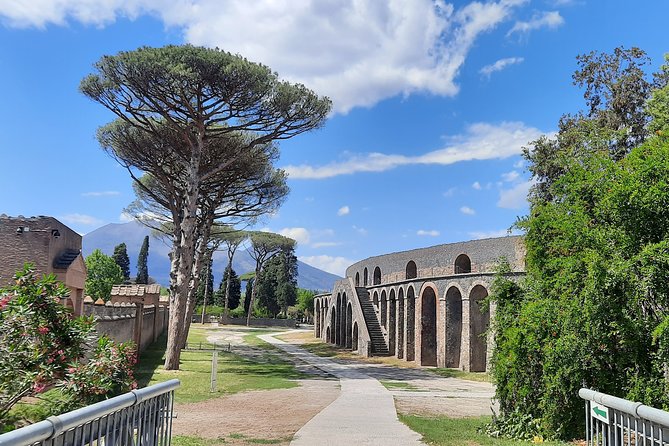 Best of Pompeii – 2 Hour Private Tour With Alex