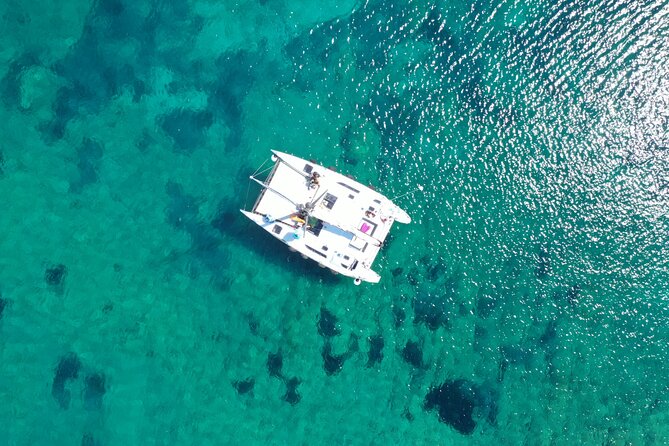 Catamaran Excursions in the Asinara Island National Park - Overview of Asinara National Park