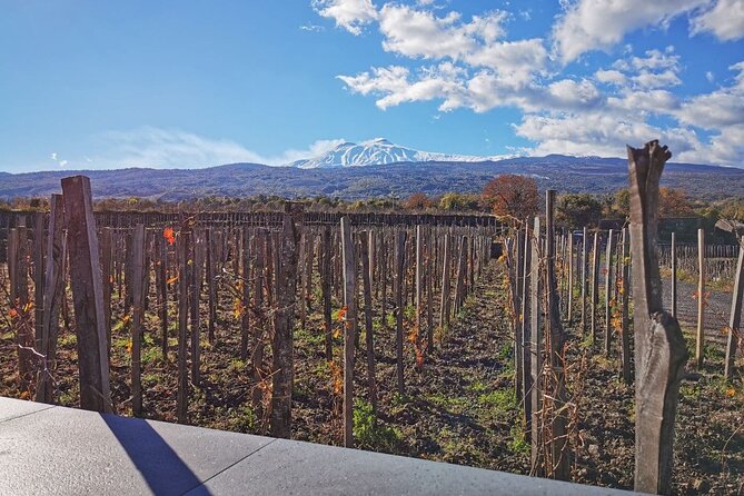 Etna Wine and Alcantara - Tour Pricing and Inclusions