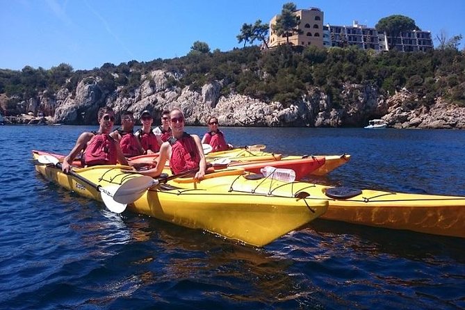 Half Day Sea Kayak Trip - Experience Highlights