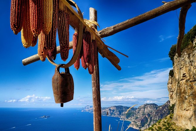 Hike the Path of Gods From Sorrento - Logistics and Equipment Provided