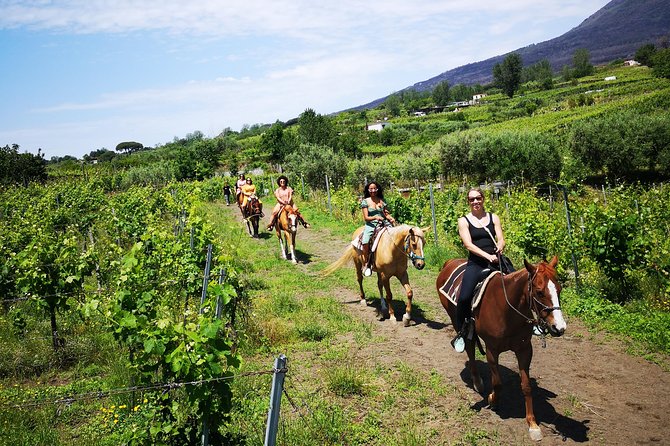 Horseback Riding on Vesuvius - Experience Highlights