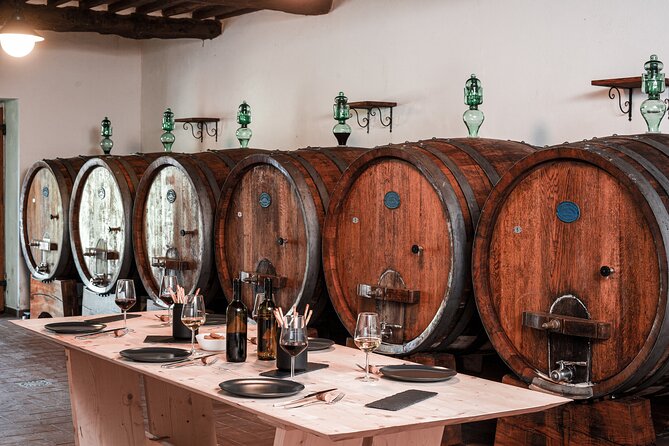 Lucca: Wine Tasting Experience - Tenuta Adamo Winery - Wine Tasting Sessions