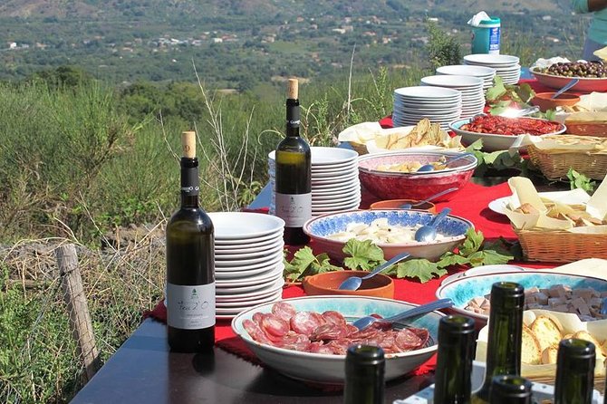 Private 6-Hour Tour of Three Etna Wineries With Food and Wine Tasting