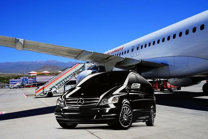Private Transfer From FCO Airport or Rome to Cruise Ship - Booking Details and Pricing