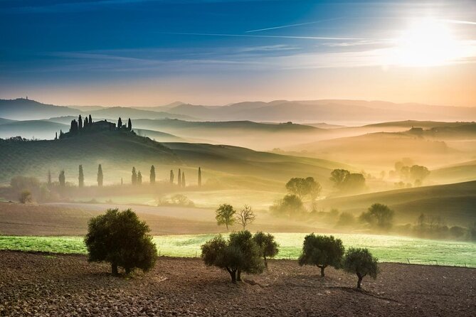 Tuscany Guided Day Trip From Rome With Lunch & Wine Tasting - Tour Highlights