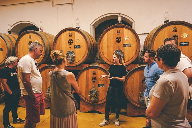 Valpolicella and Amarone Wine-Tasting Tour From Verona