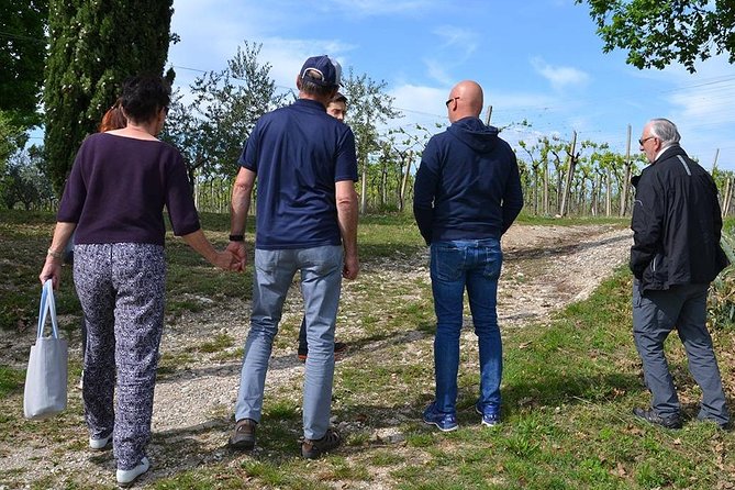 Winery Tour and Tasting of Garda Wines in Lazise