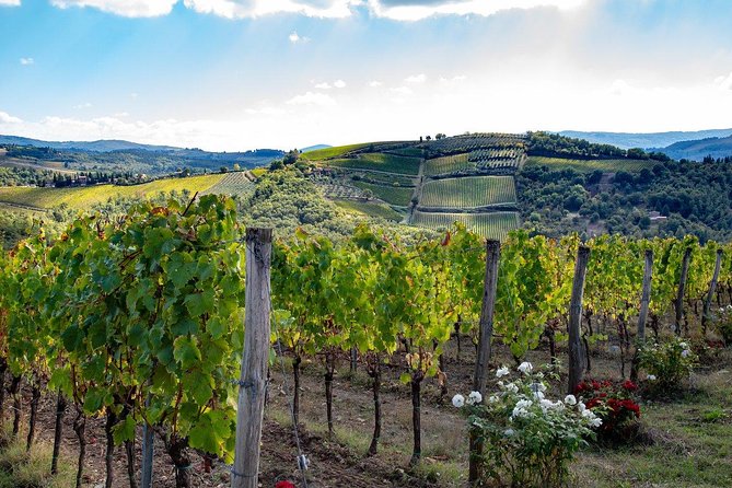 Chianti Safari: Tuscan Villas With Vineyards, Cheese, Wine & Lunch From Florence - Inclusions and Experiences