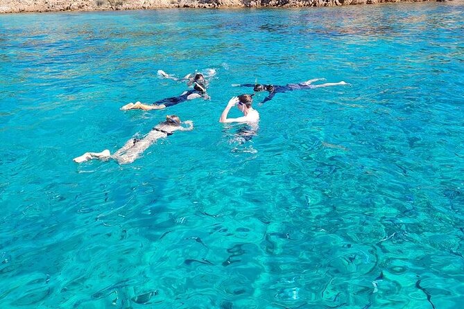 Dolphin Watching Tour With Snorkeling From Olbia - Customer Reviews