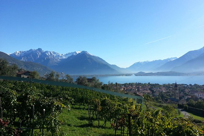 Domaso: Wine Tasting at the Winery on Como Lake - Wine Tasting Experience