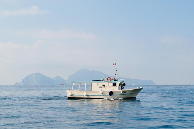 Fishing and Tourism in Capri - Traveler Feedback and Ratings