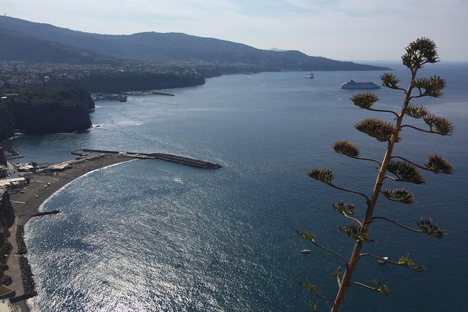 Full Day Private Sorrento & Amalfi Coast Tour From Positano - Transportation and Logistics