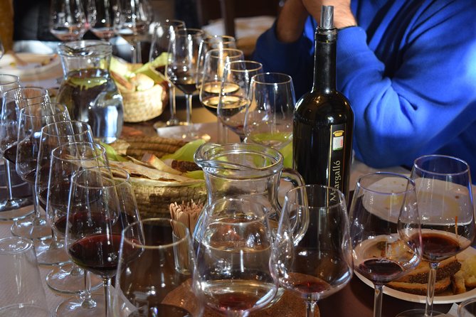 Guided Wine and Olive Oil Tasting - Cancellation Policy