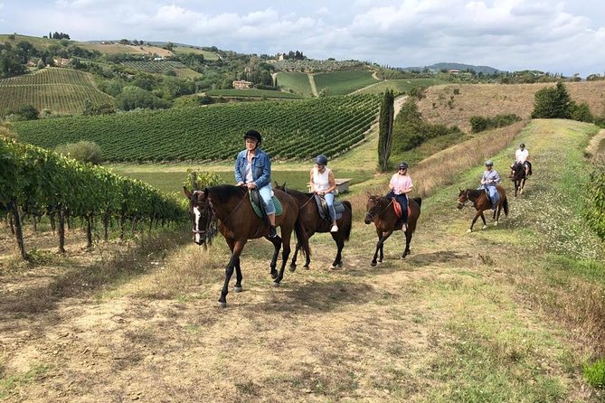 Horseback Ride in S.Gimignano With Tuscan Lunch Chianti Tasting - Tour Highlights