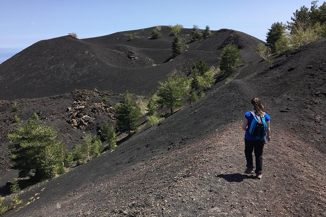 Mount Etna Half Day Jeep 4x4 Tour From Catania or Taormina - Tour Overview