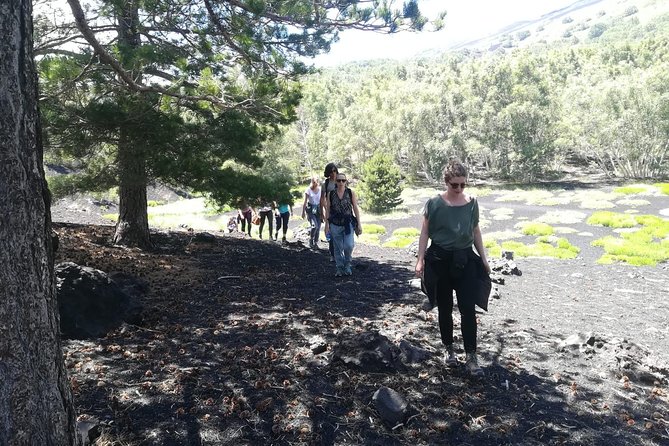 Mount Etna Half-Day Tour - Small Groups From Taormina - Inclusions