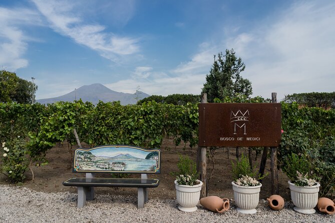 Private Pompeii Wine Tasting With Lunch - Wine Tasting and Local Product Sampling