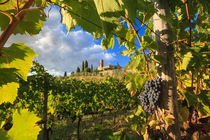 Private Tuscany Tour From Florence Including Siena, San Gimignano and Chianti Wine Region - Tour Overview and Highlights