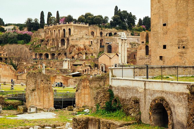 Rome Private Tour: Colosseum & Forum With a Local Guide - No-hassle Cancellation Policy