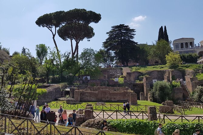 Small Group Colosseum Arena Floor Roman Forum and Palatine Hill - Booking Details