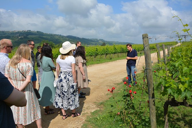 SMALL GROUP Experience Cheese & Chianti Visit Dairy & 3 Wineries - Culinary Experiences