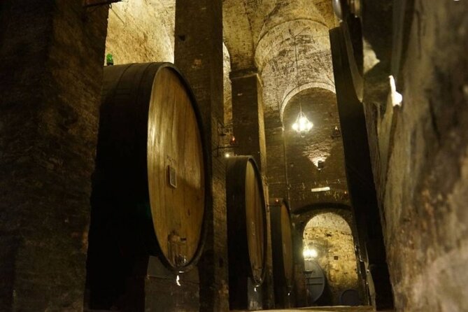 Tasting Tour in One of The Most Beautiful Cellar in the World - Logistics