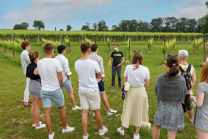 Winery Tour and Tasting of Garda Wines in Lazise - Tour Highlights