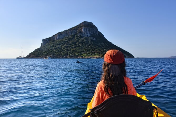 A Small-Group Kayaking Tour With Snorkeling and Aperitivo  - Sardinia - Tour Itinerary