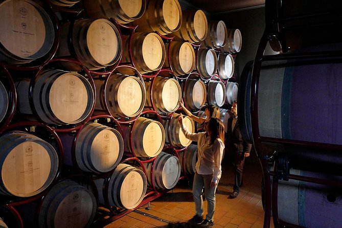 Bolgheri: Classic Wine Tasting With Winery Tour - Additional Information and Policies