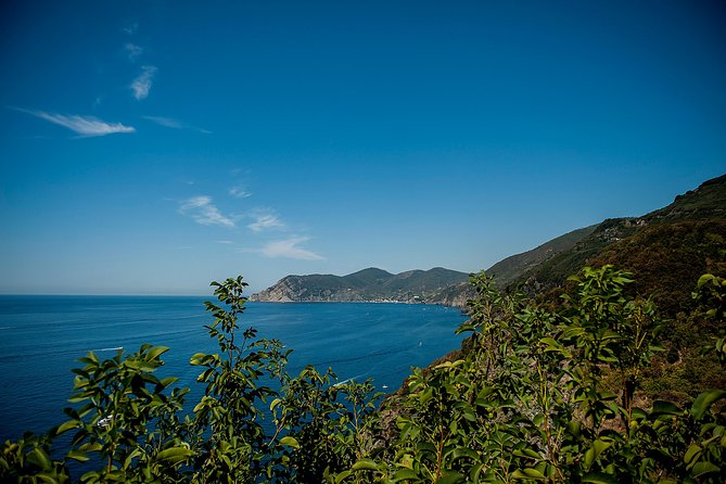 Cinque Terre Day Trip From Florence With Optional Hiking - Tour Details
