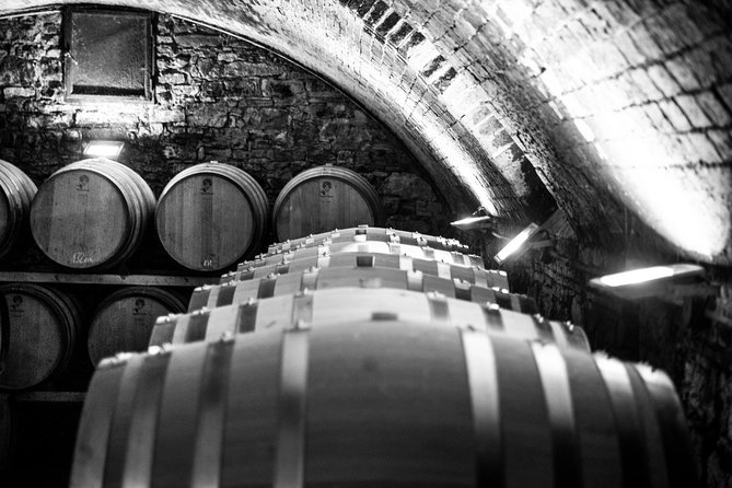 Discover Chianti Through Its Wines - Vineyard and Cellar Exploration