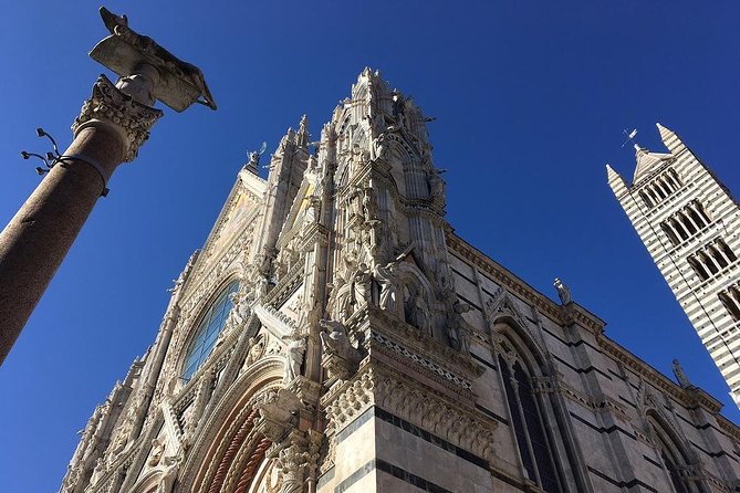 Discover the Medieval Charm of Siena on a Private Walking Tour - Highlights of the Walking Tour