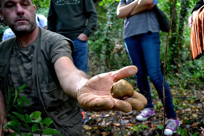 Full-Day Small-Group Truffle Hunting in Tuscany With Lunch - Tour Highlights
