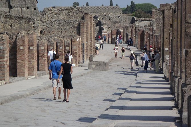 Guided Day Tour of Pompeii and Herculaneum With Light Lunch - Tour Inclusions
