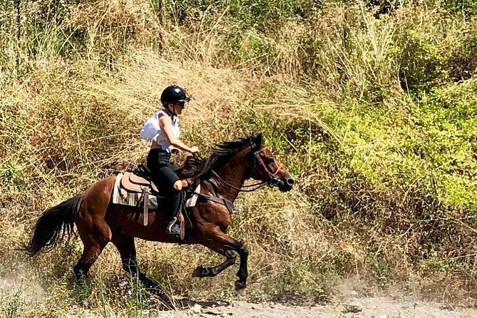 Horse Riding Tour, Naples - Additional Information