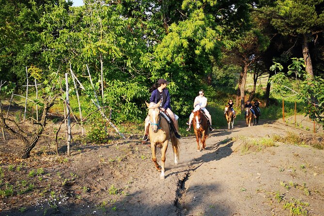 Horseback Riding on Vesuvius - Positive Experiences and Feedback