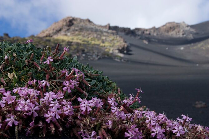 Mount Etna Excursion Visit to the Lava Tubes - Silvestri Craters Exploration