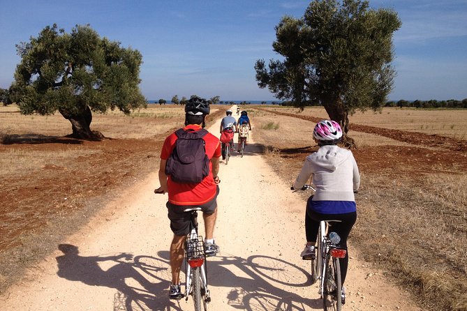 Puglia Bike Tour: Cycling Through the History of Extra Virgin Olive Oil - Cycling Routes and Landscapes