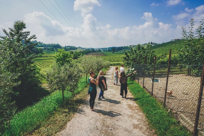 Semi-Private Prosecco Wine Tour From Venice - Tour Guides and Experiences