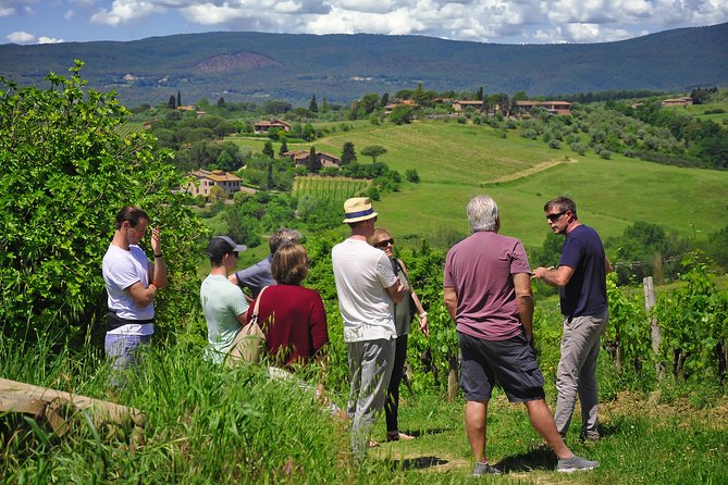 Siena: A Wine Tour and Tasting Experience - Customer Feedback