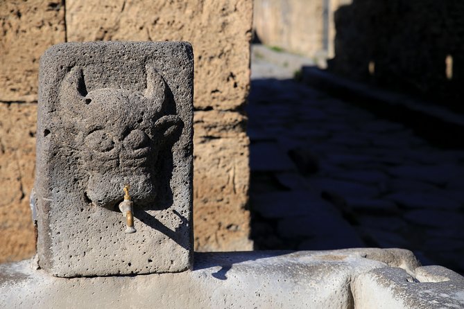 Skip-The-Line Half-Day Private Tour Ancient Pompeii Highlights With Native Guide - Pricing and Offer Details