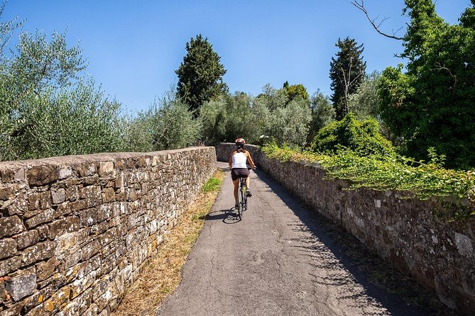Tuscan Country Bike Tour With Wine and Olive Oil Tastings - Highlights of the Tour