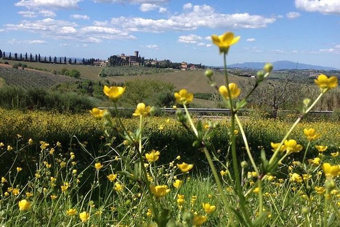 Tuscany Bike Tours Through the Chianti Hills With Wine Tasting - Safety Measures and Convenience