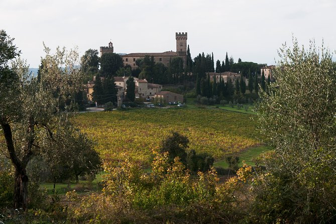 Tuscany Vespa Tours Through the Hills of Chianti - Traveler Photos and Reviews