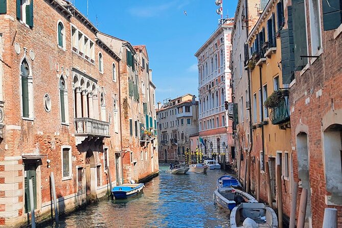 Venice Sightseeing Walking Tour With a Local Guide - Price and Value