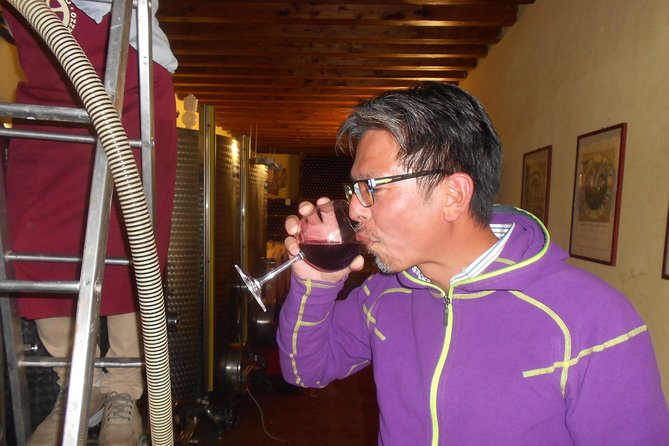 Winery Agriturismo Santo Stefano Castiglion Fiorentino (6 Types of Wine) - Vineyard and Winemaking Process Overview