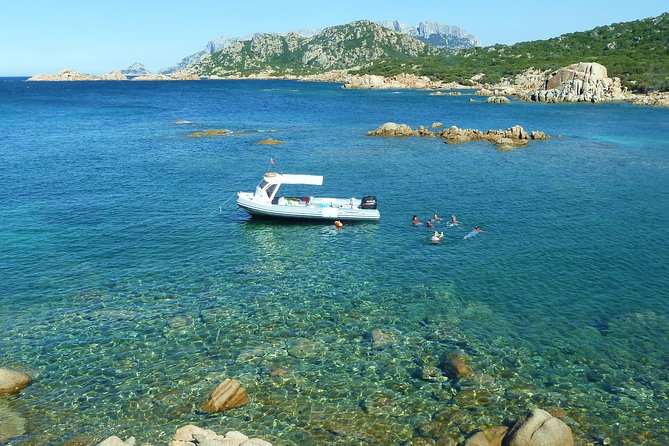 A Half-Day Dolphin-Spotting Cruise in a Rubber Dinghy  - Sardinia - Traveler Feedback