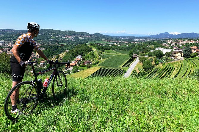 E-Bike Tour Lake Como and Swiss Vineyards - Traveler Reviews Snapshot