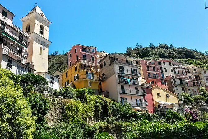 Fully-Day Private Tour to Cinque Terre From Florence - Customer Feedback and Experience